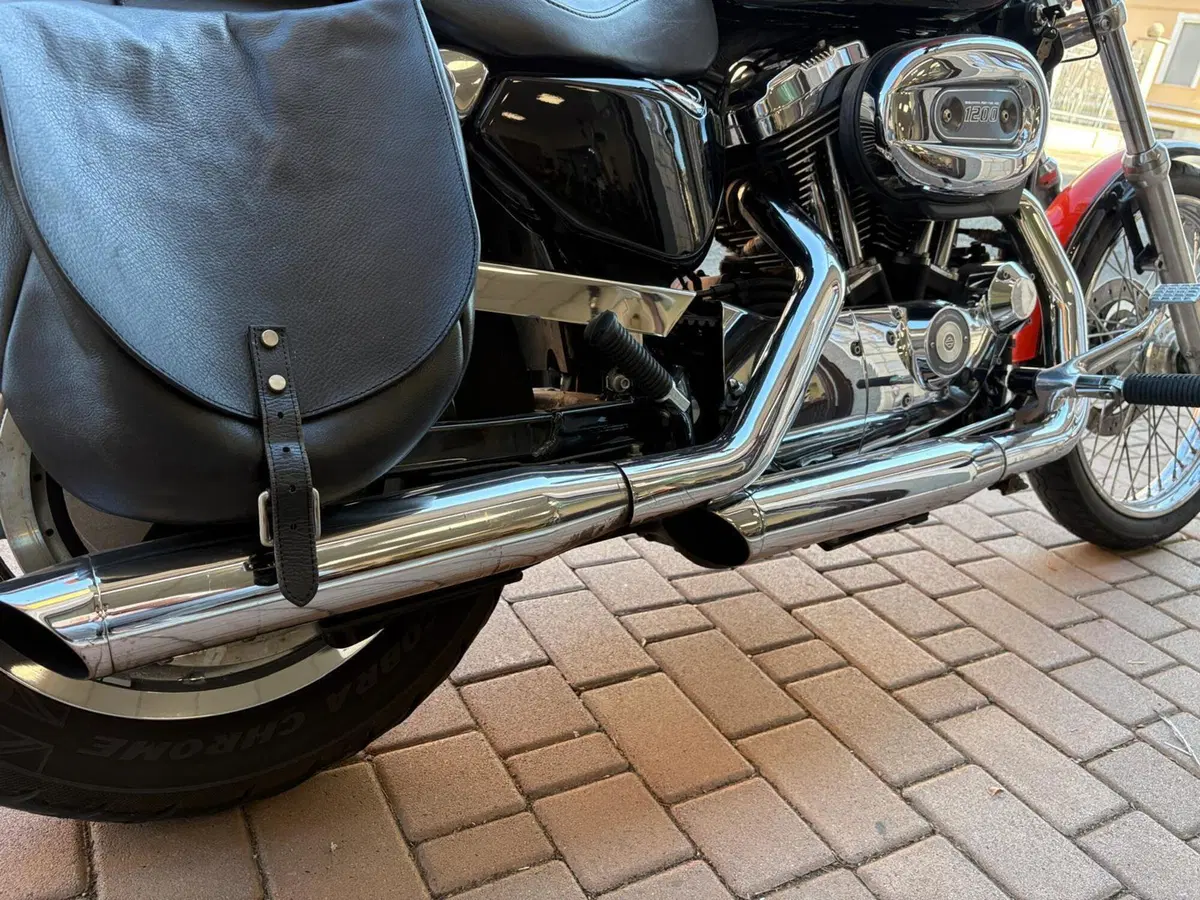 Harley-Davidson 1200 Custom (2007 - 13) - XL 1200C (17)