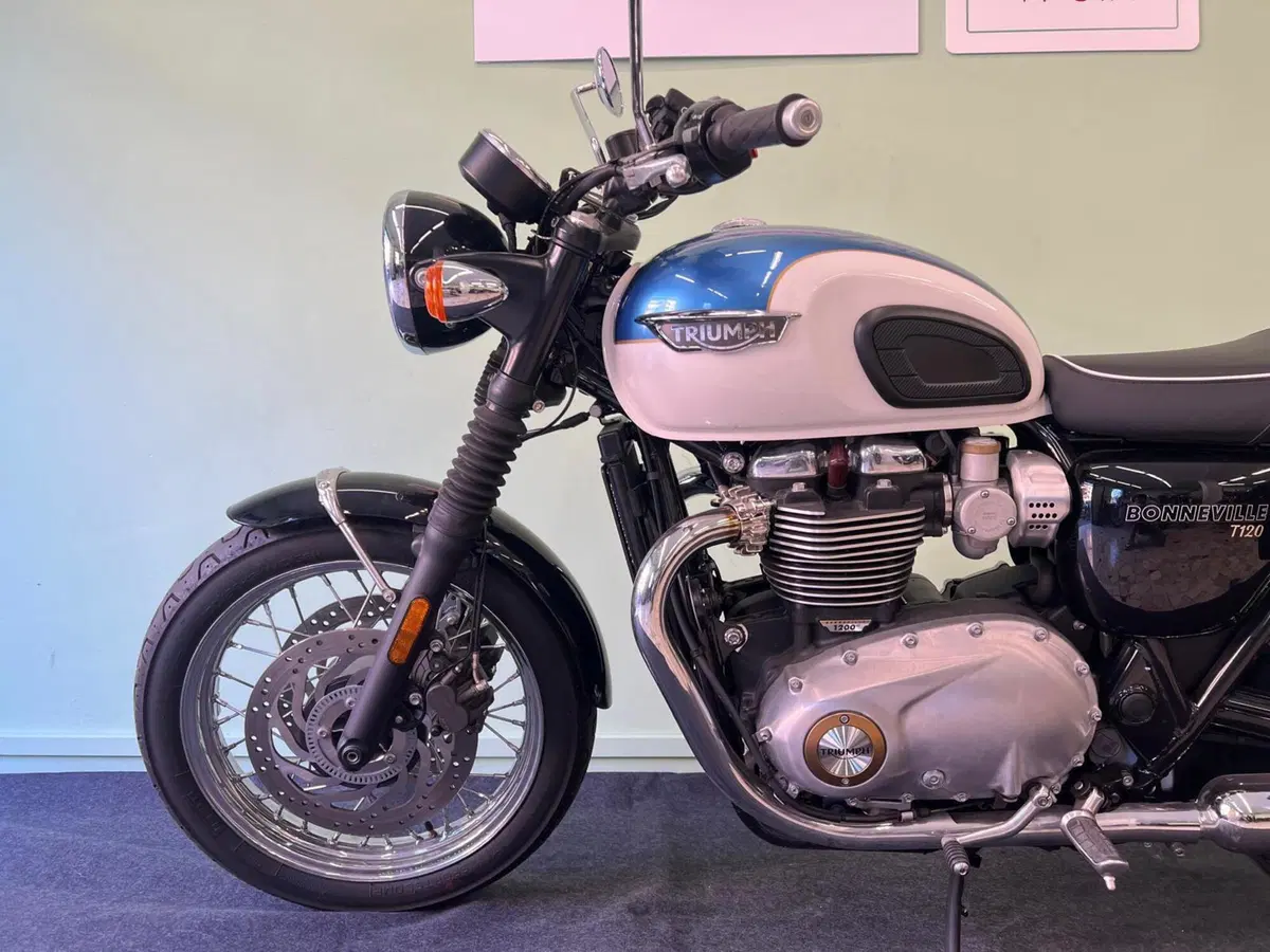 Triumph Bonneville T120 (2016 - 20) (11)