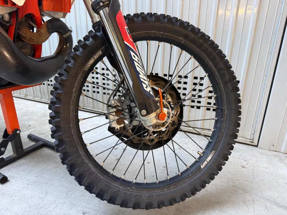 KTM 250 EXC TPI Six Days (2019) (8)