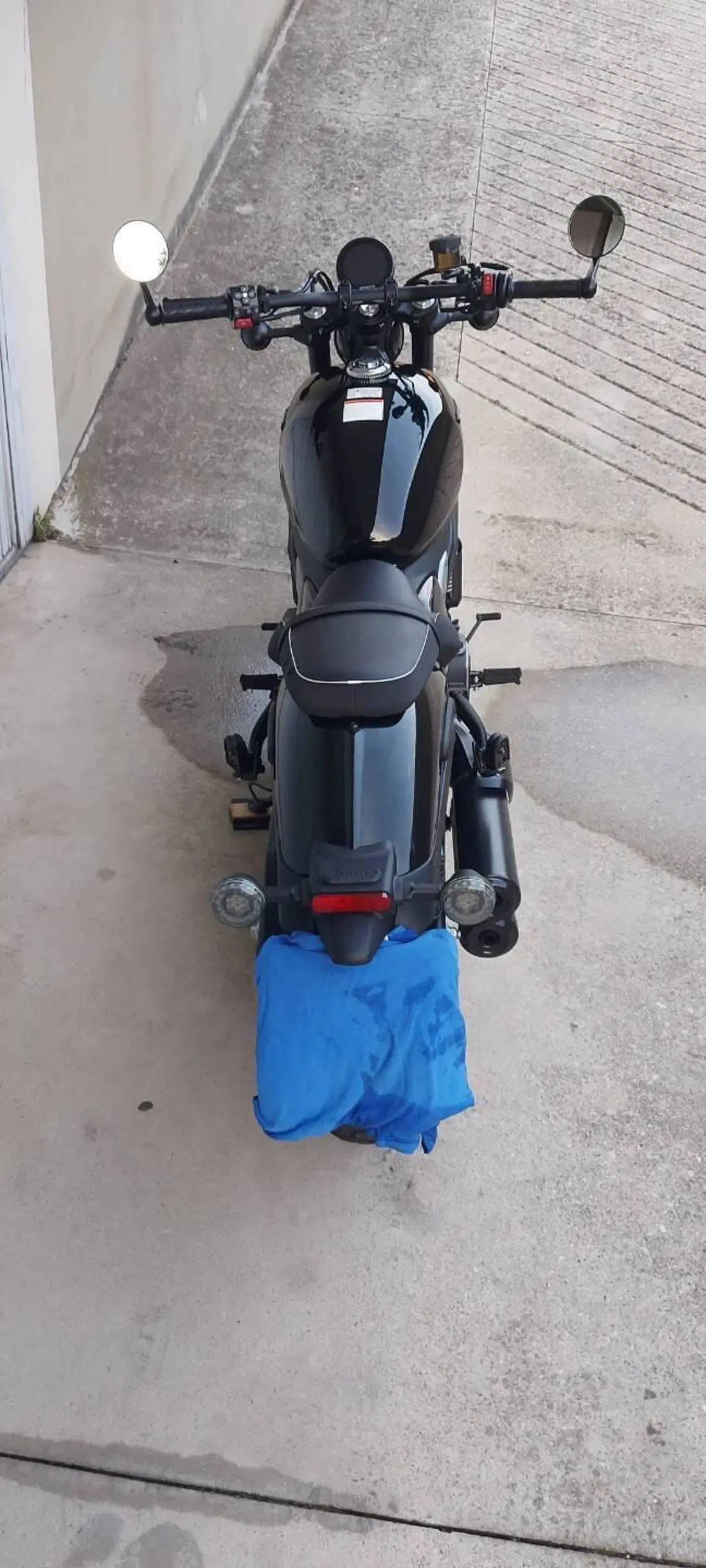 CFMOTO 450CL-C (2024 - 26) (2)