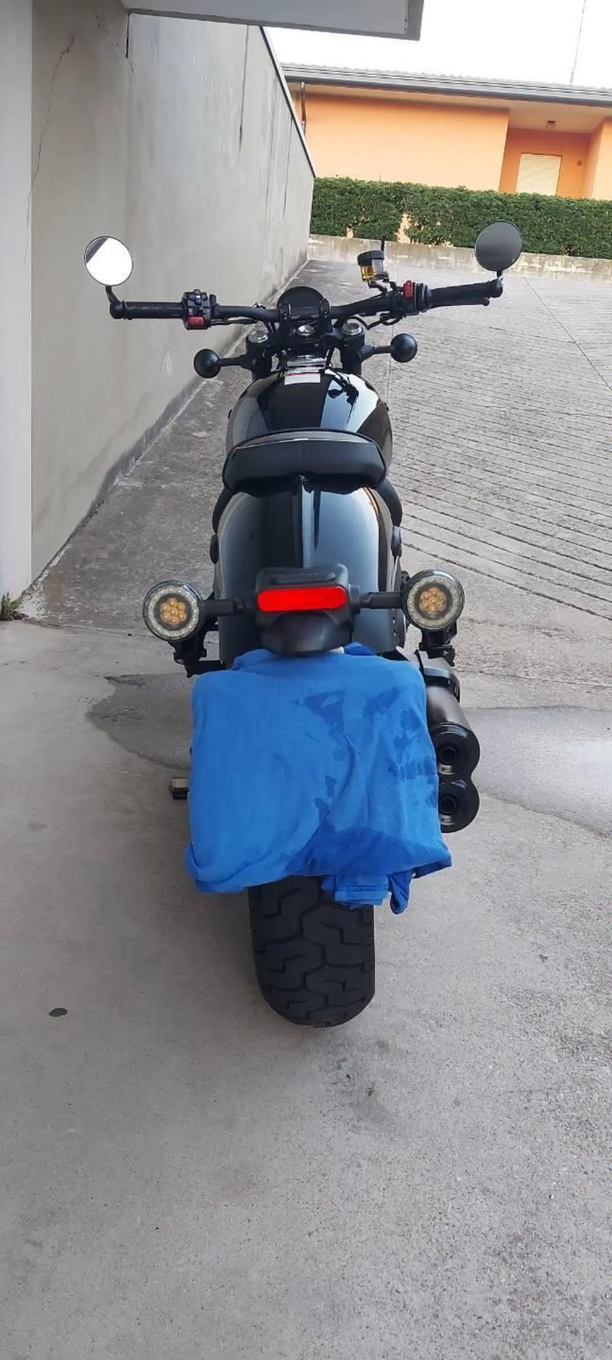 CFMOTO 450CL-C (2024 - 26) (3)