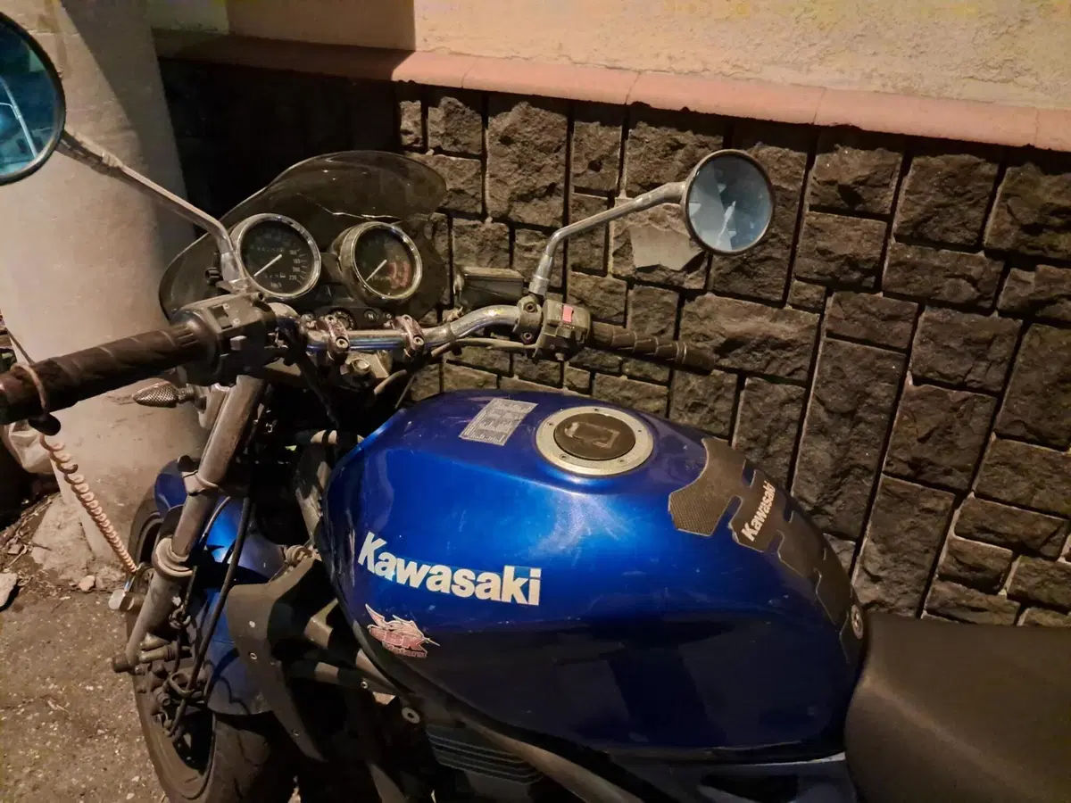 Kawasaki ER-5 500 (2001 - 06) (2)