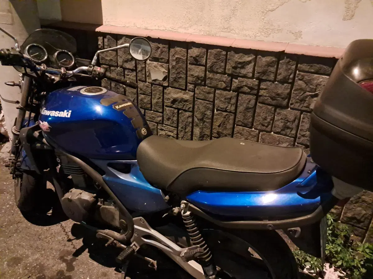 Kawasaki ER-5 500 (2001 - 06) (3)