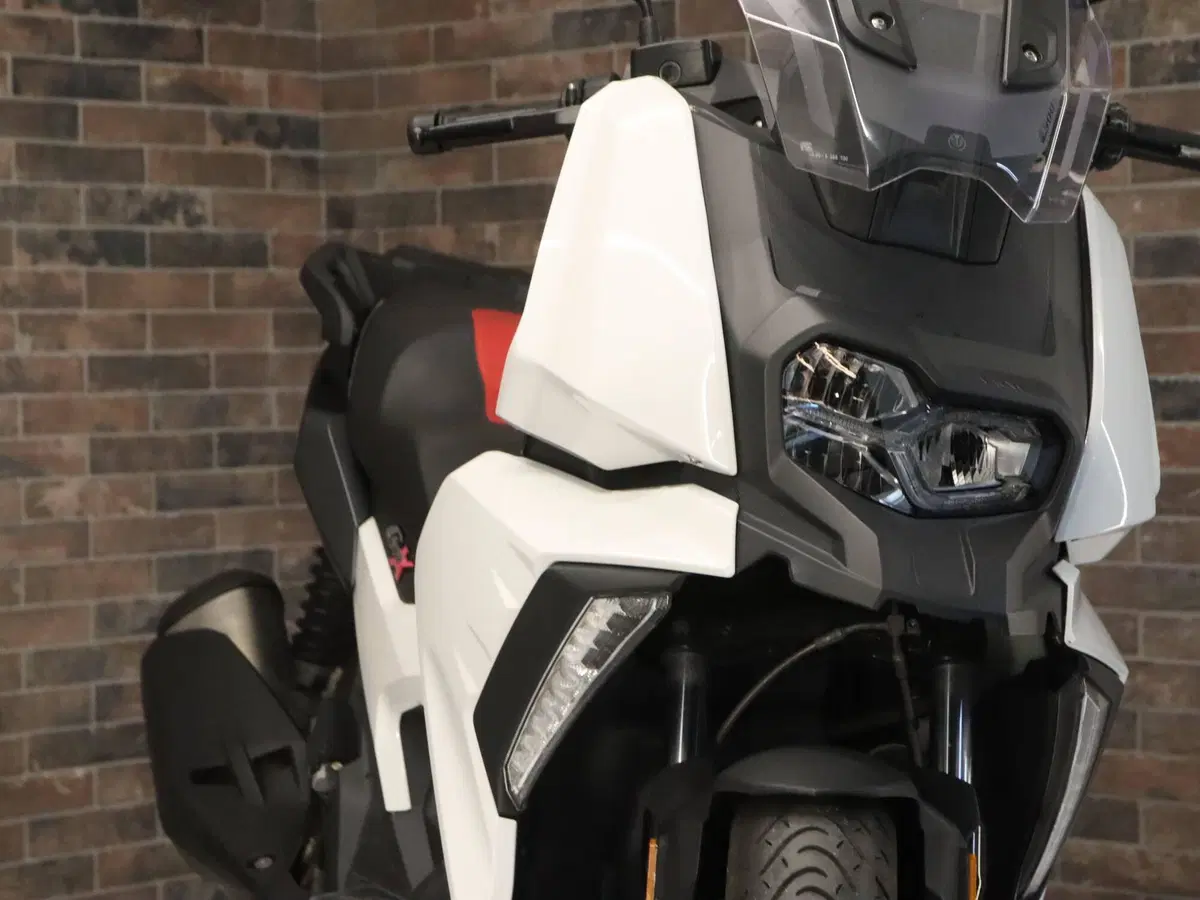 Bmw C 400 X (2018 - 20) (16)