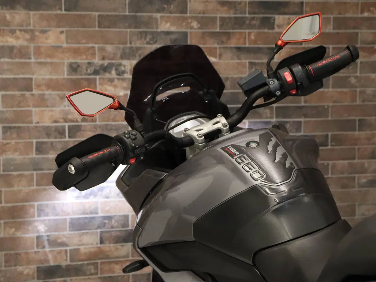 Triumph Tiger Sport 660 (2022 - 24) (14)