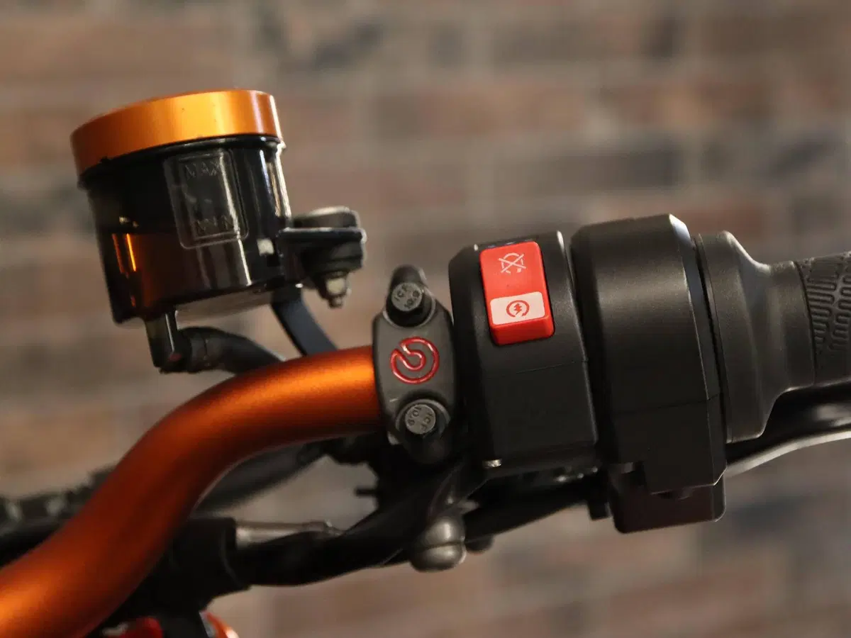 KTM 890 Duke R (2021 - 23) (16)