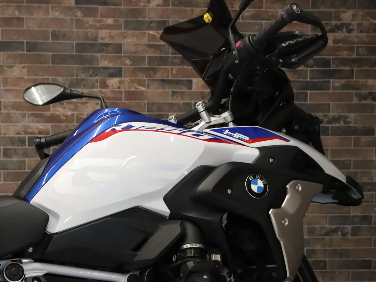 Bmw R 1250 GS (2019 - 20) (12)