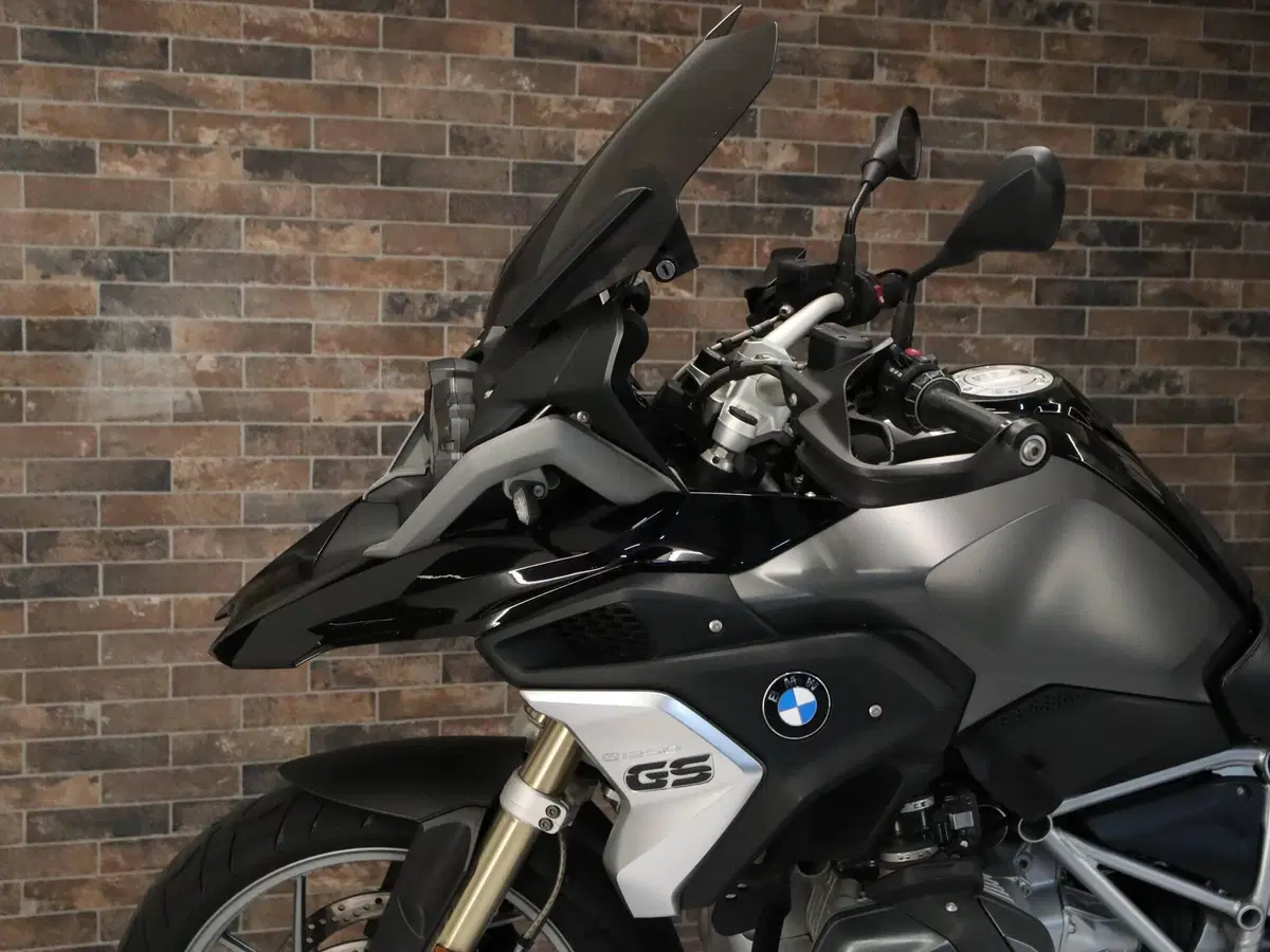 Bmw R 1250 GS (2019 - 20) (17)