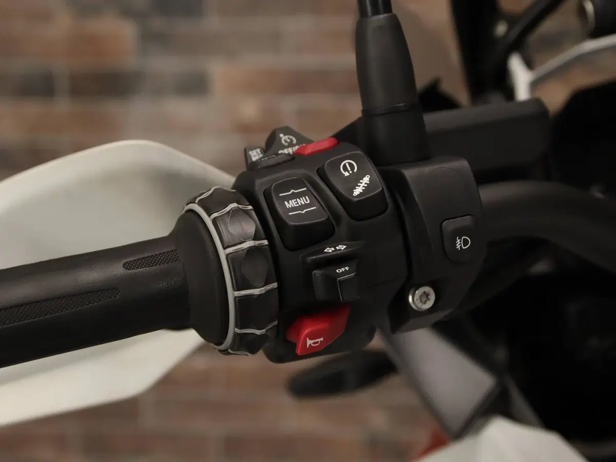 Bmw R 1250 GS (2021 - 24) (17)