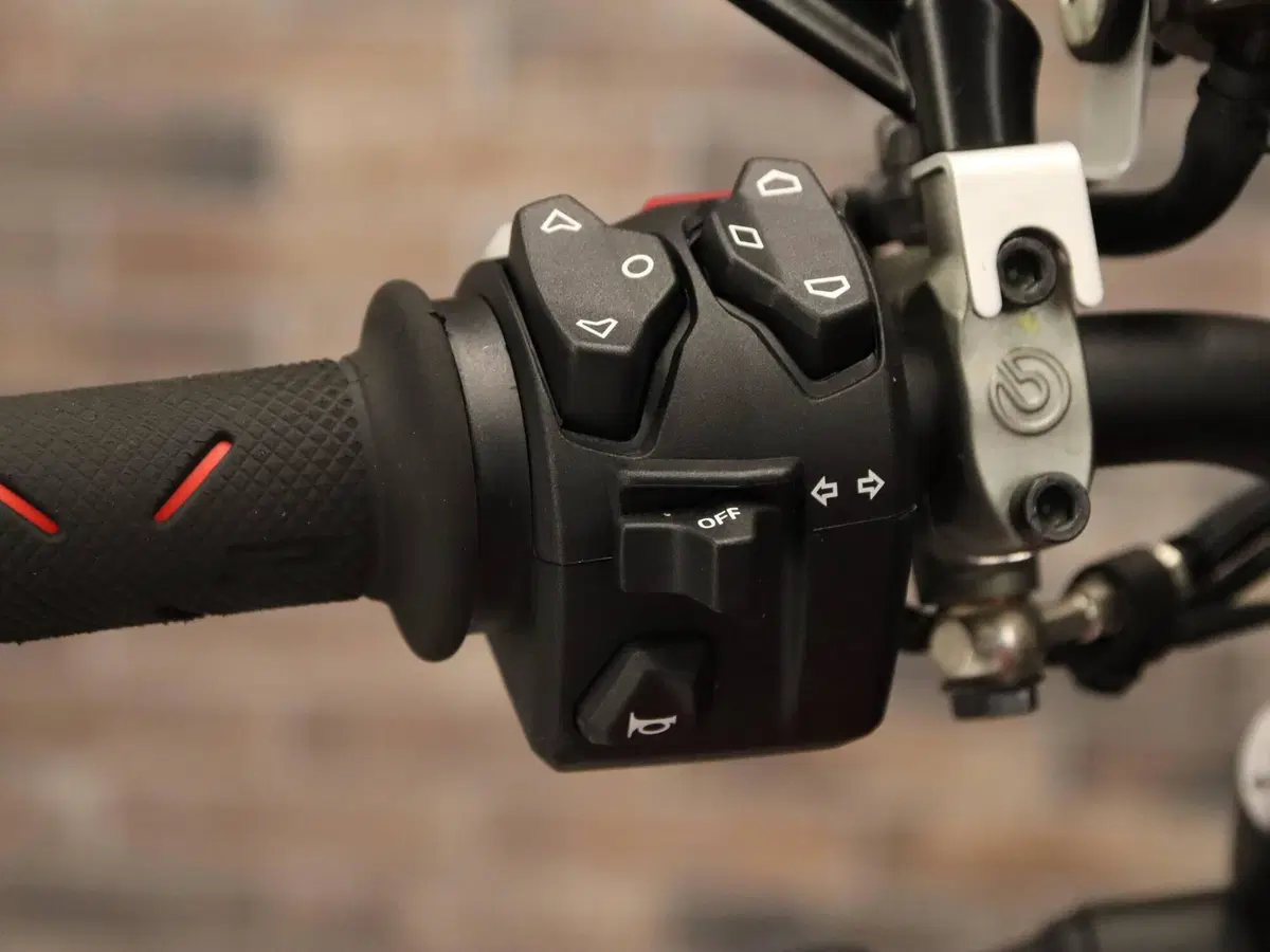 Ducati Streetfighter V4 S (2025 - 26) (18)
