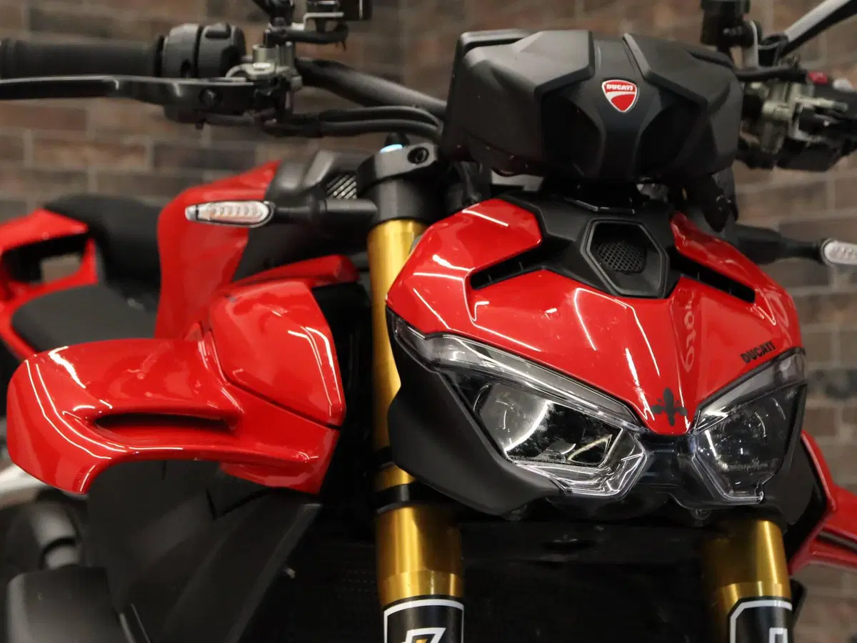 Ducati Streetfighter V4 S (2025 - 26) (22)