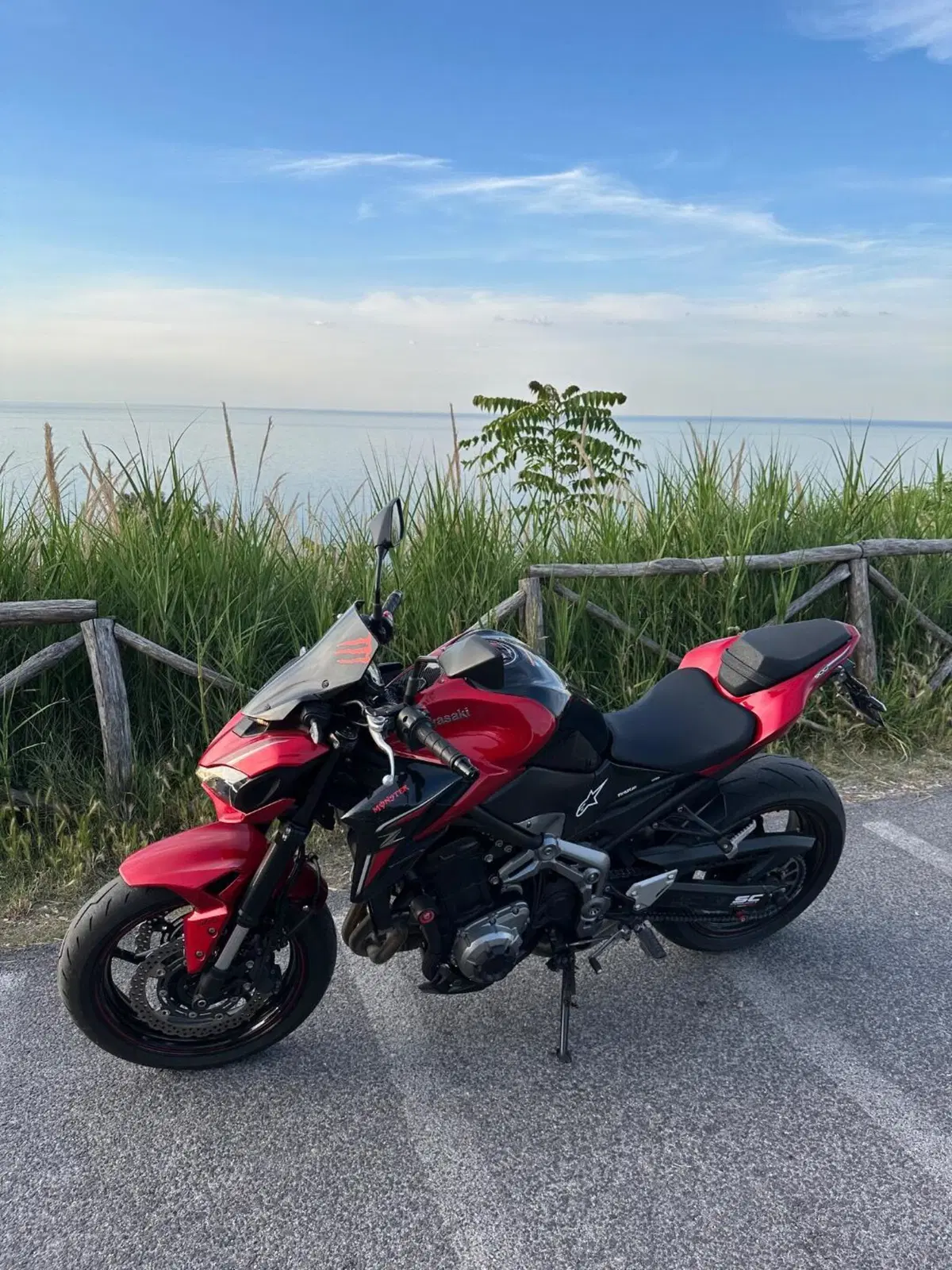 Kawasaki Z 900 Performance (2019) (3)