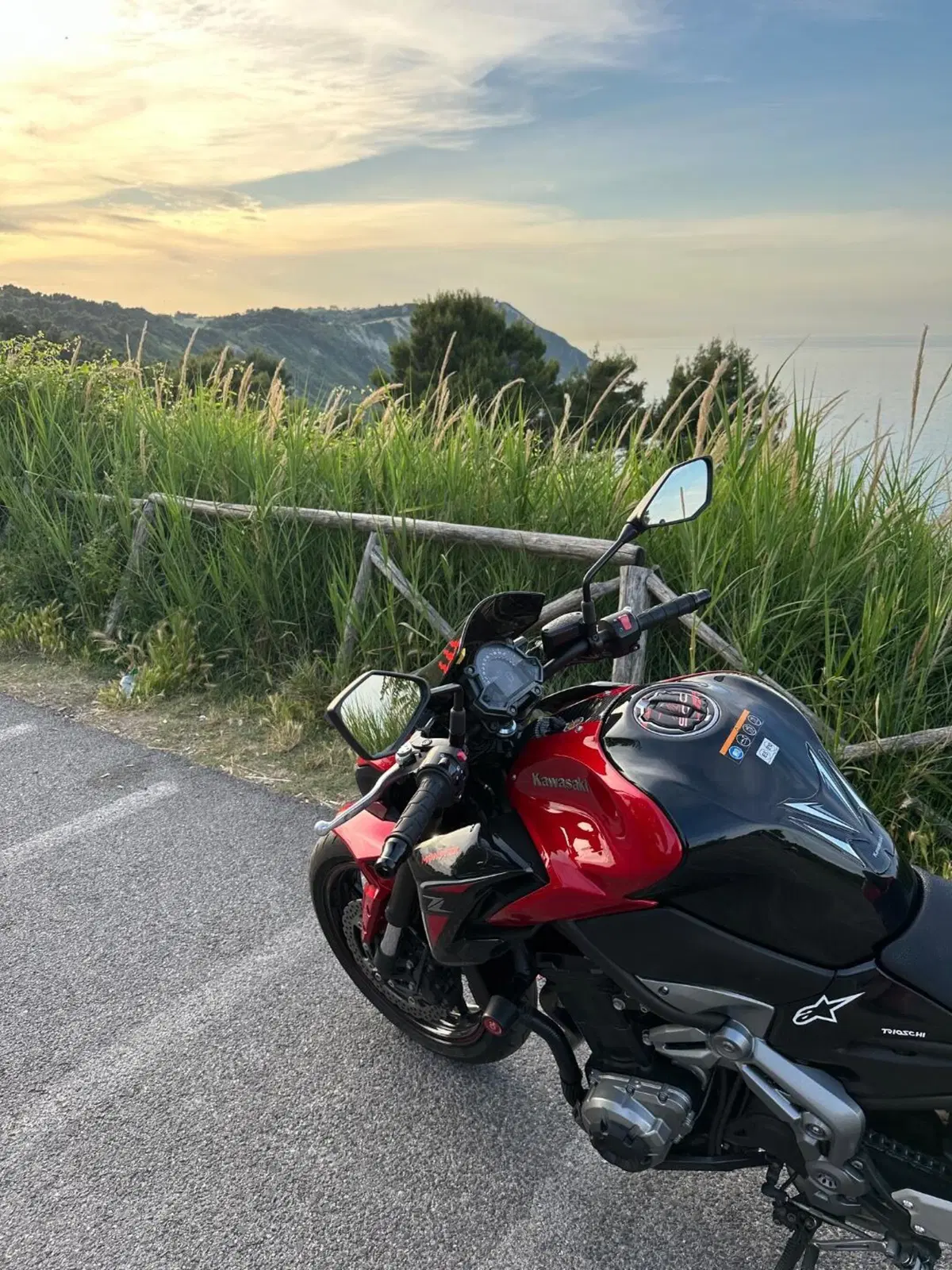 Kawasaki Z 900 Performance (2019) (4)