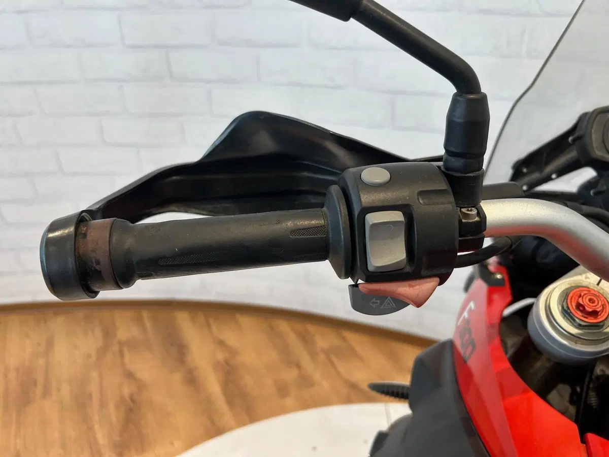 Bmw F 800 GS (2008 - 15) (7)