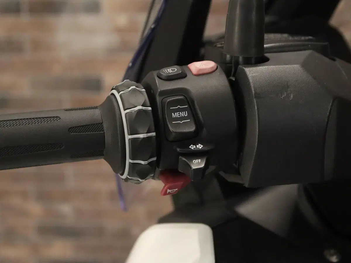 Bmw C 400 X (2018 - 20) (12)