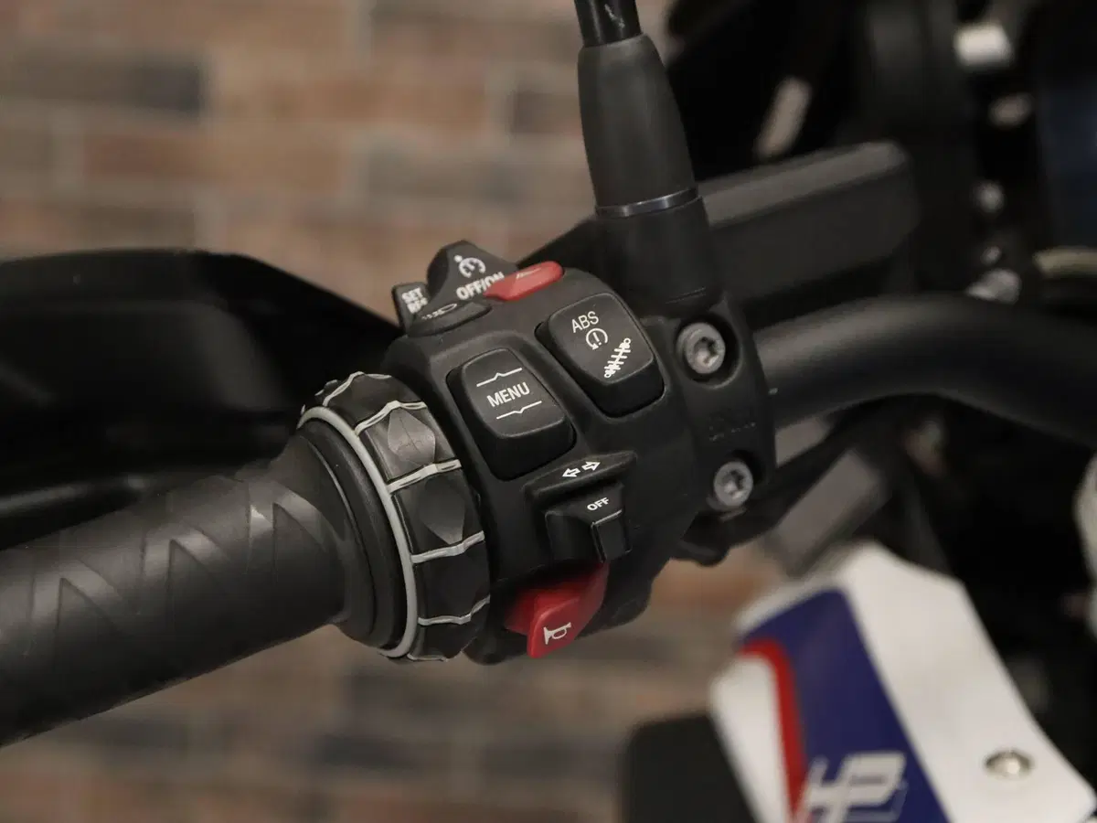 Bmw R 1250 GS (2019 - 20) (16)