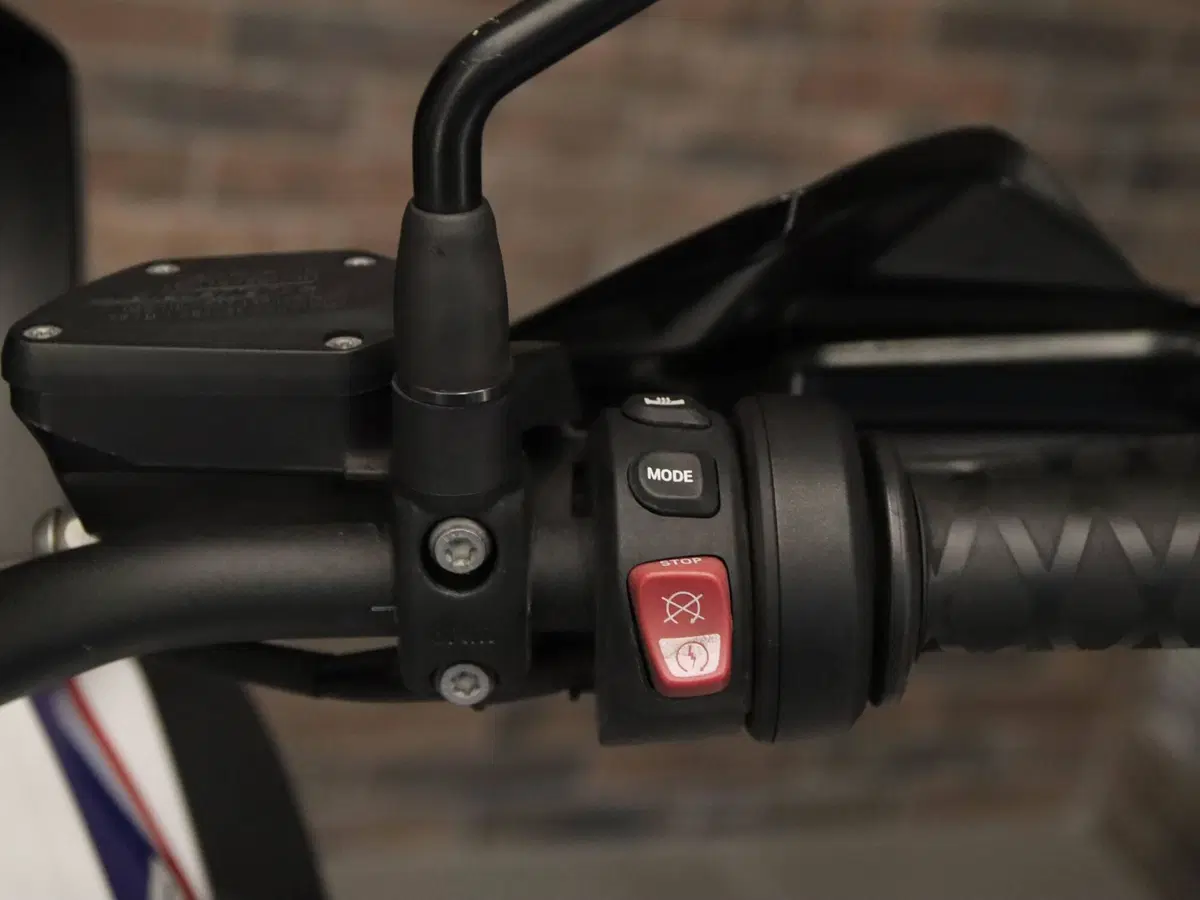 Bmw R 1250 GS (2019 - 20) (17)