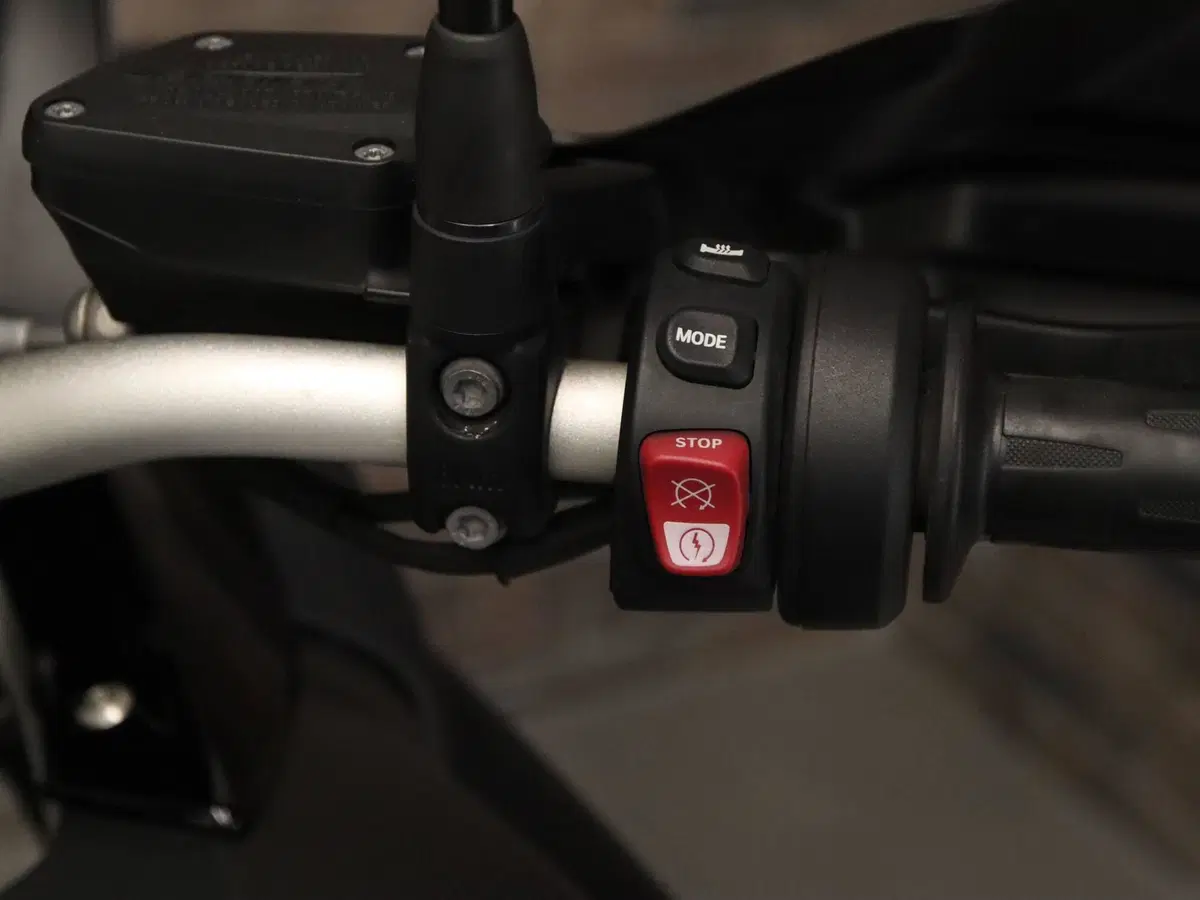 Bmw R 1250 GS (2019 - 20) (14)