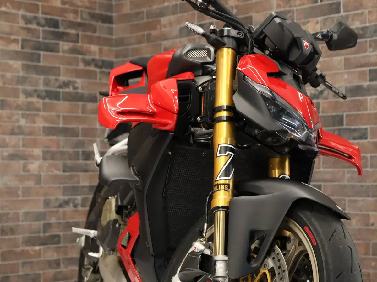 Ducati Streetfighter V4 S (2025 - 26) (16)