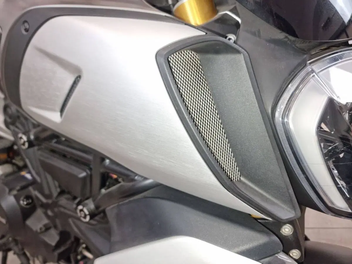 Ducati Diavel 1260 S (2019 - 20) (5)