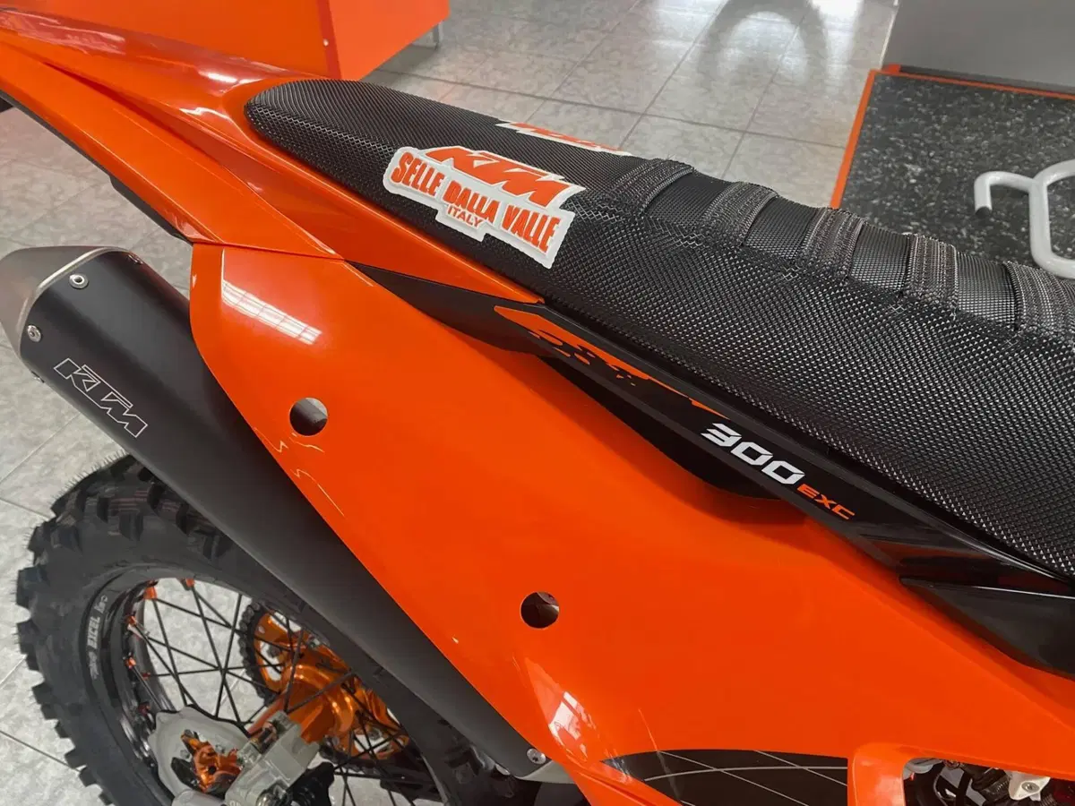 KTM 300 EXC Hardenduro (2027) (5)