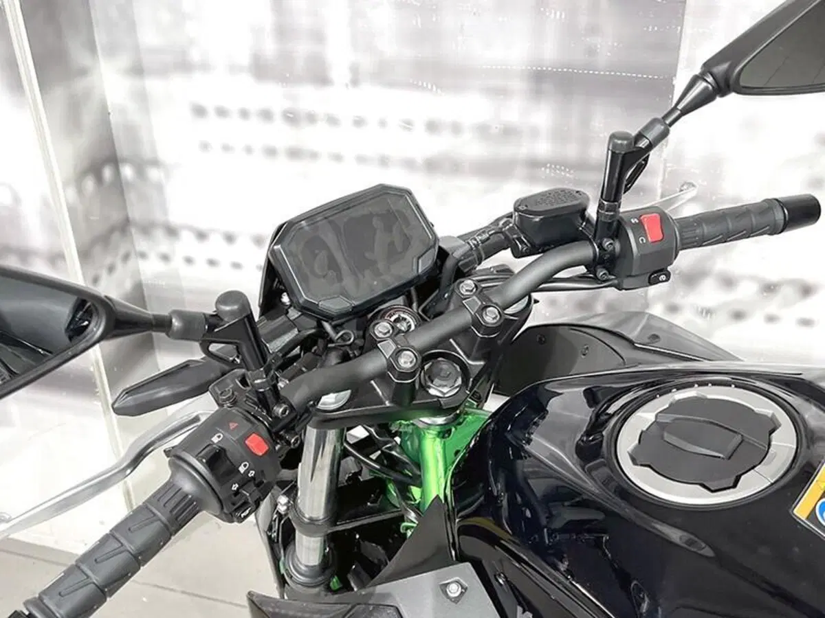 Kawasaki Z 500 SE (2024 - 26) (6)