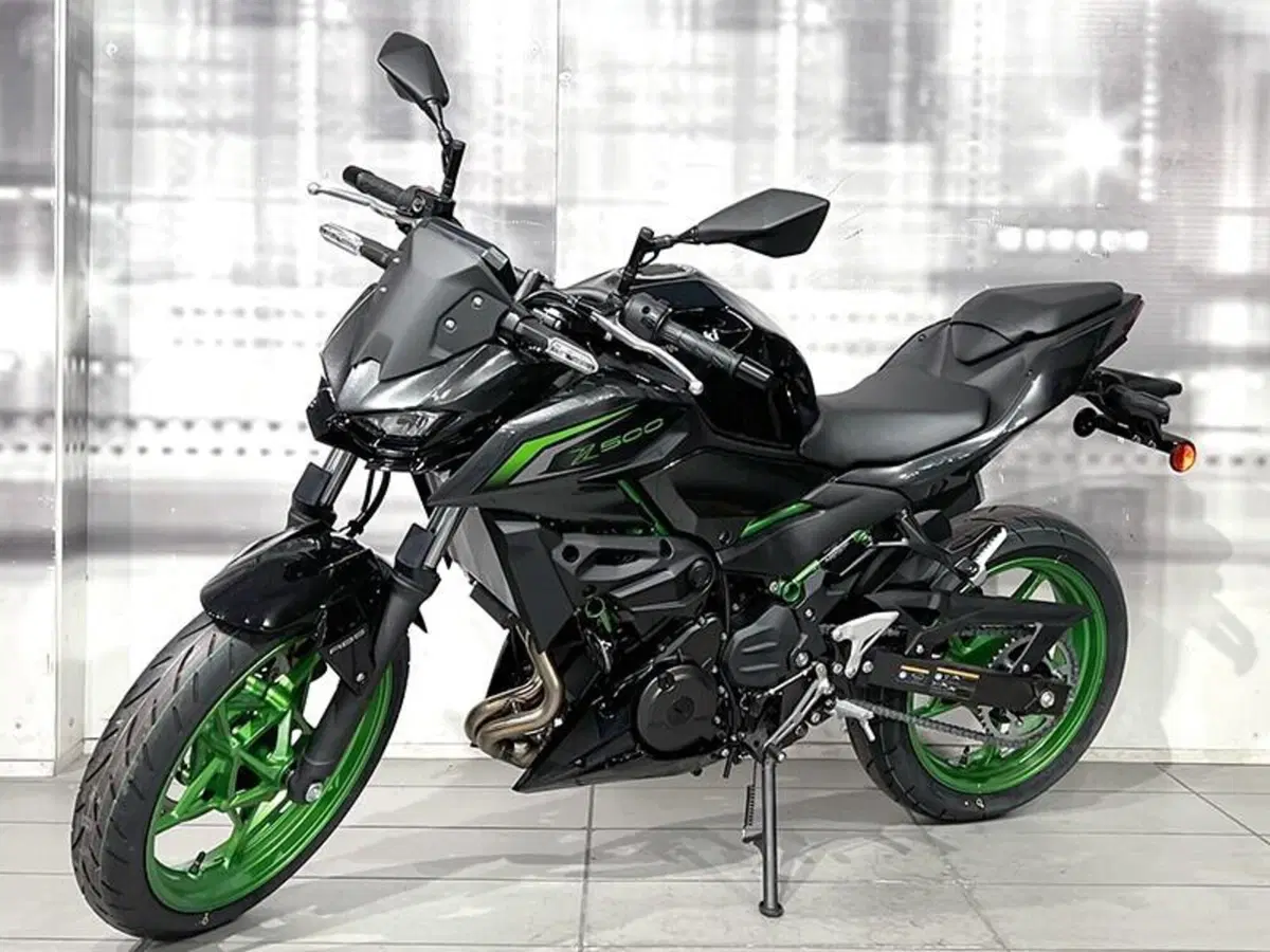 Kawasaki Z 500 SE (2024 - 26) (7)
