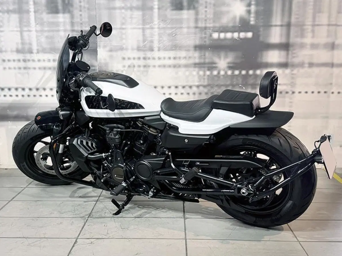 Harley-Davidson Sportster S (2022 - 24) (2)