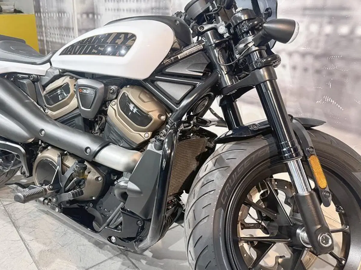 Harley-Davidson Sportster S (2022 - 24) (3)