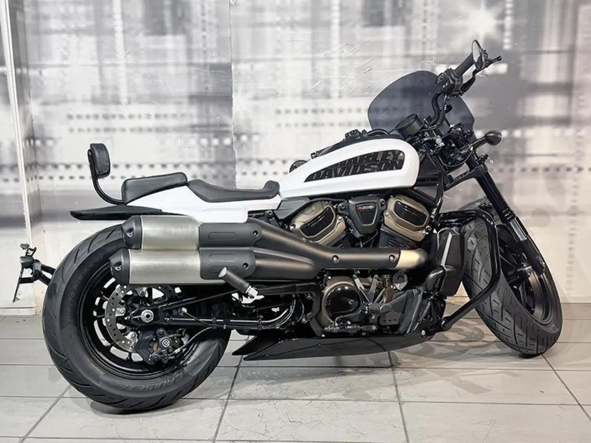Harley-Davidson Sportster S (2022 - 24) (5)