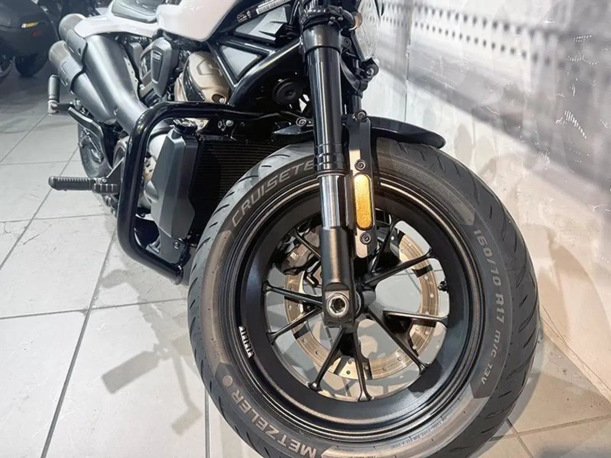 Harley-Davidson Sportster S (2022 - 24) (6)