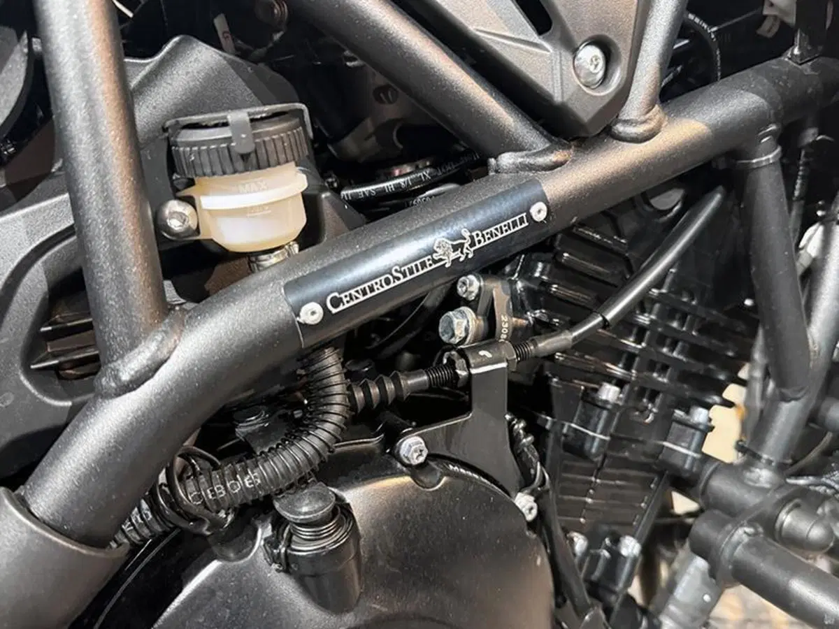 Benelli TRK 702 (2023 - 25) (6)