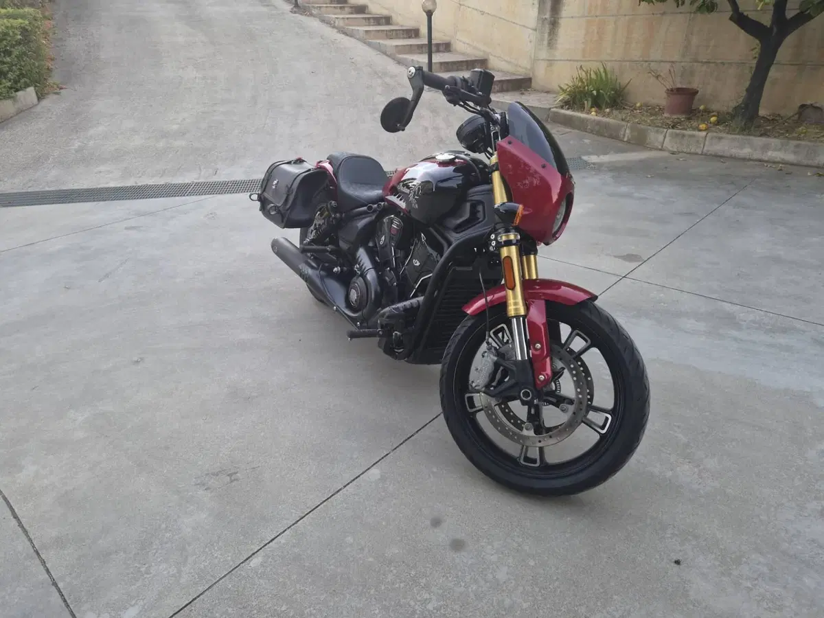 Indian Scout 1250 101 (2025 - 26) (2)