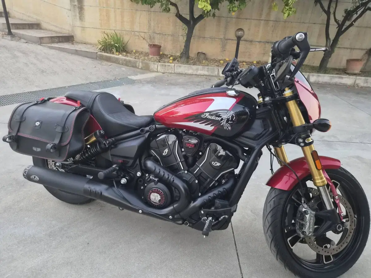Indian Scout 1250 101 (2025 - 26) (6)