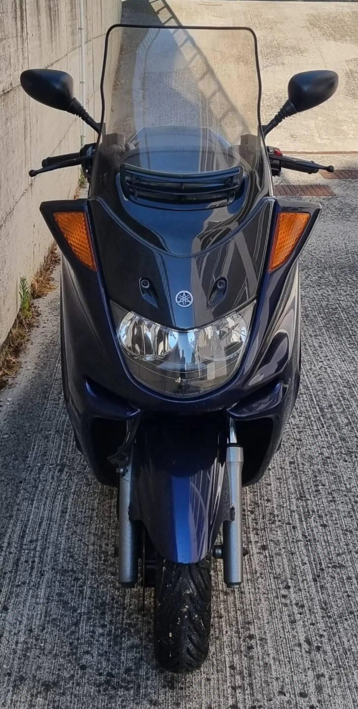 Yamaha Majesty 250 (1999 - 06) (3)