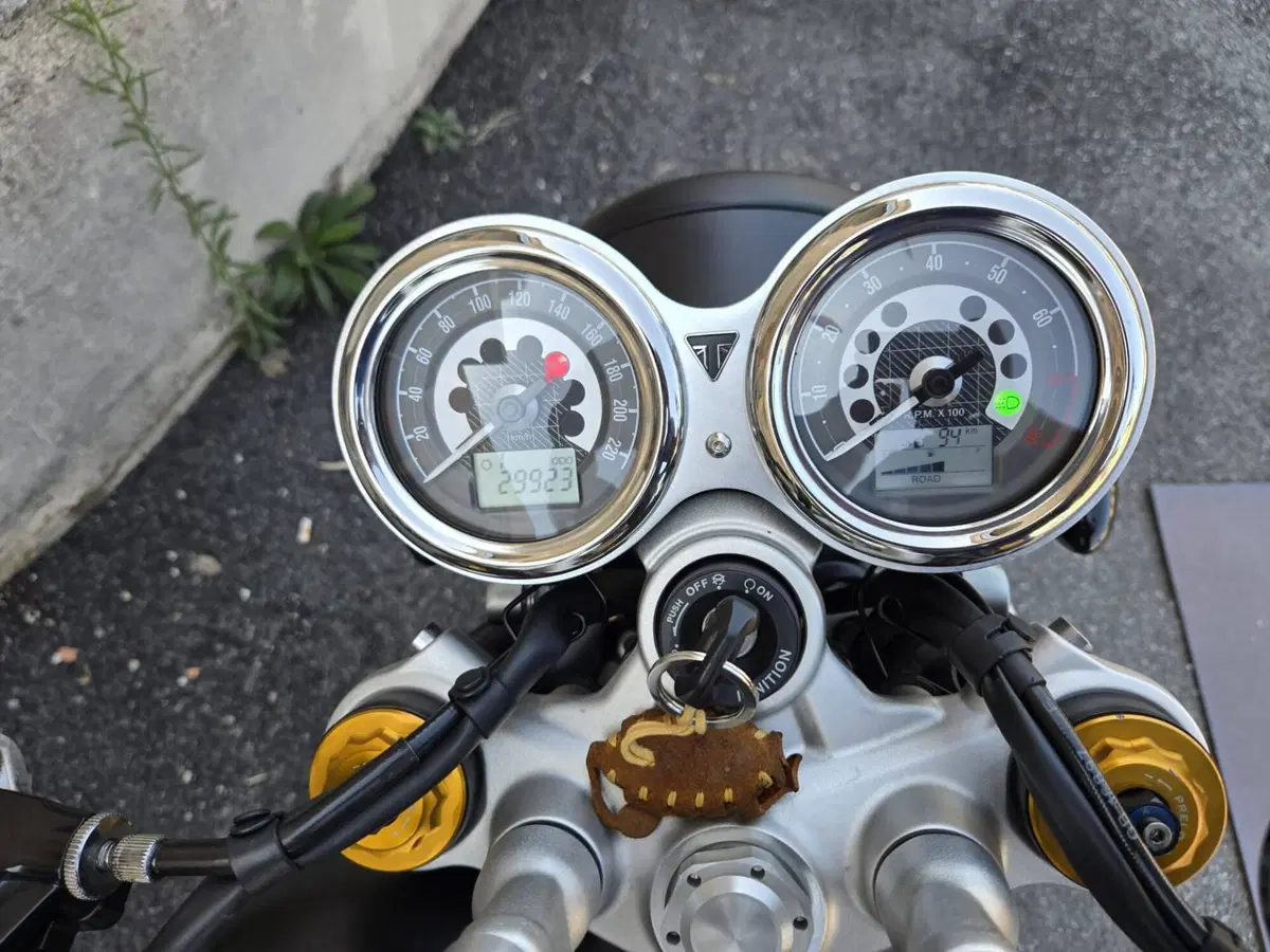 Triumph Speed Twin 1200 (2021 - 24) (5)