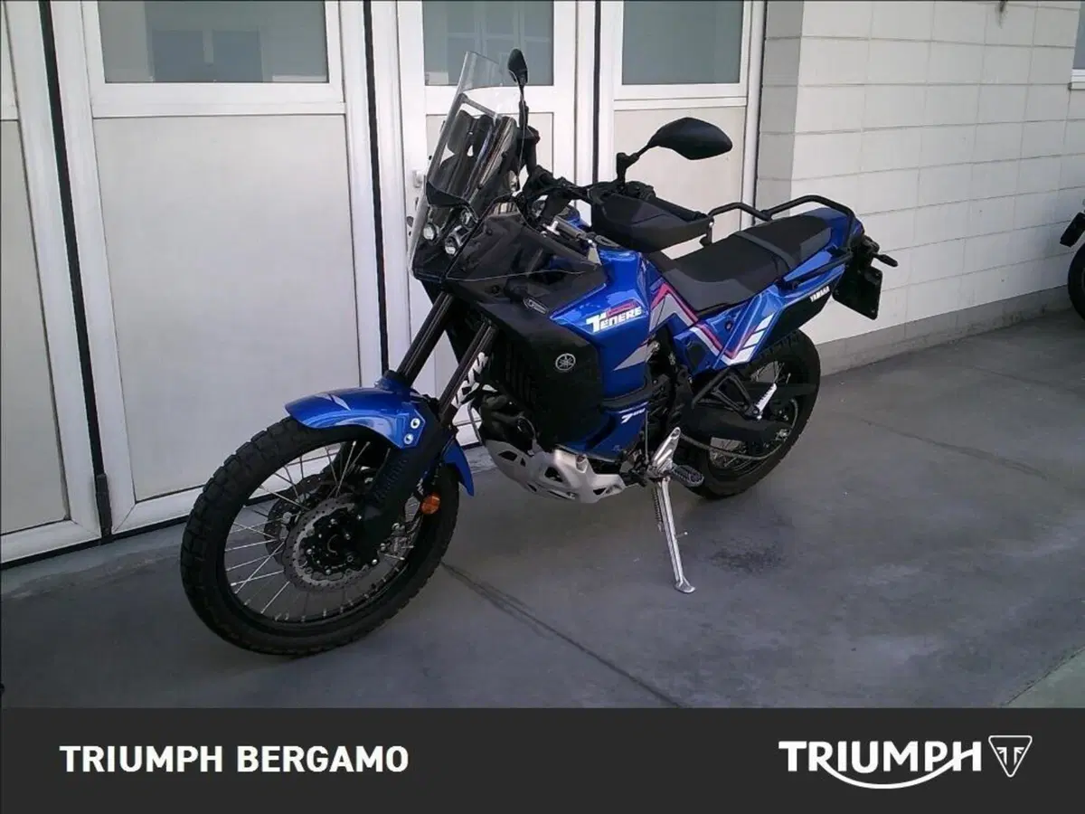 Yamaha Ténéré 700 World Rally (2023 - 25) (3)
