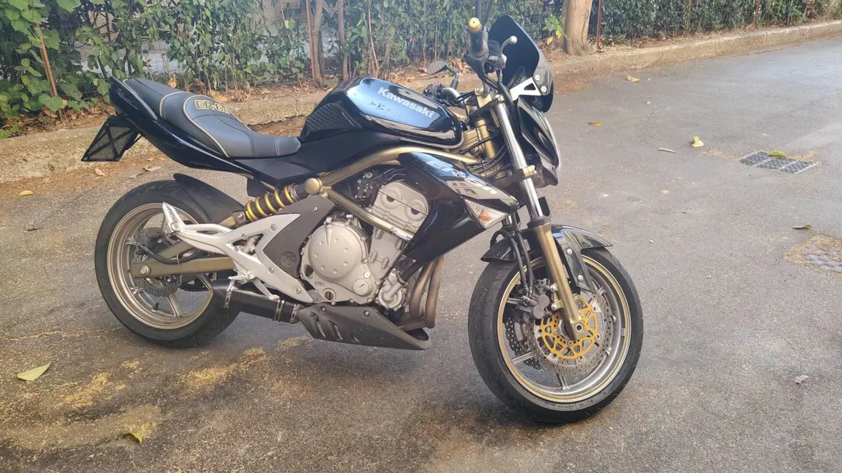 Kawasaki ER-6N (2005 - 08) (3)