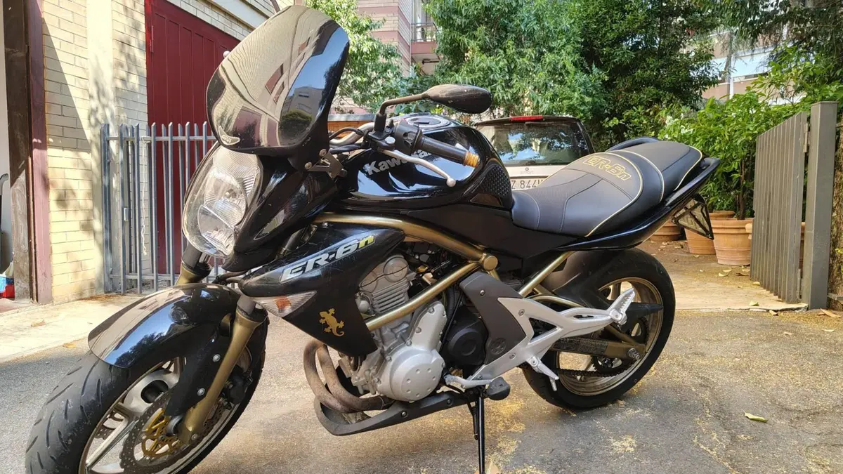 Kawasaki ER-6N (2005 - 08) (4)