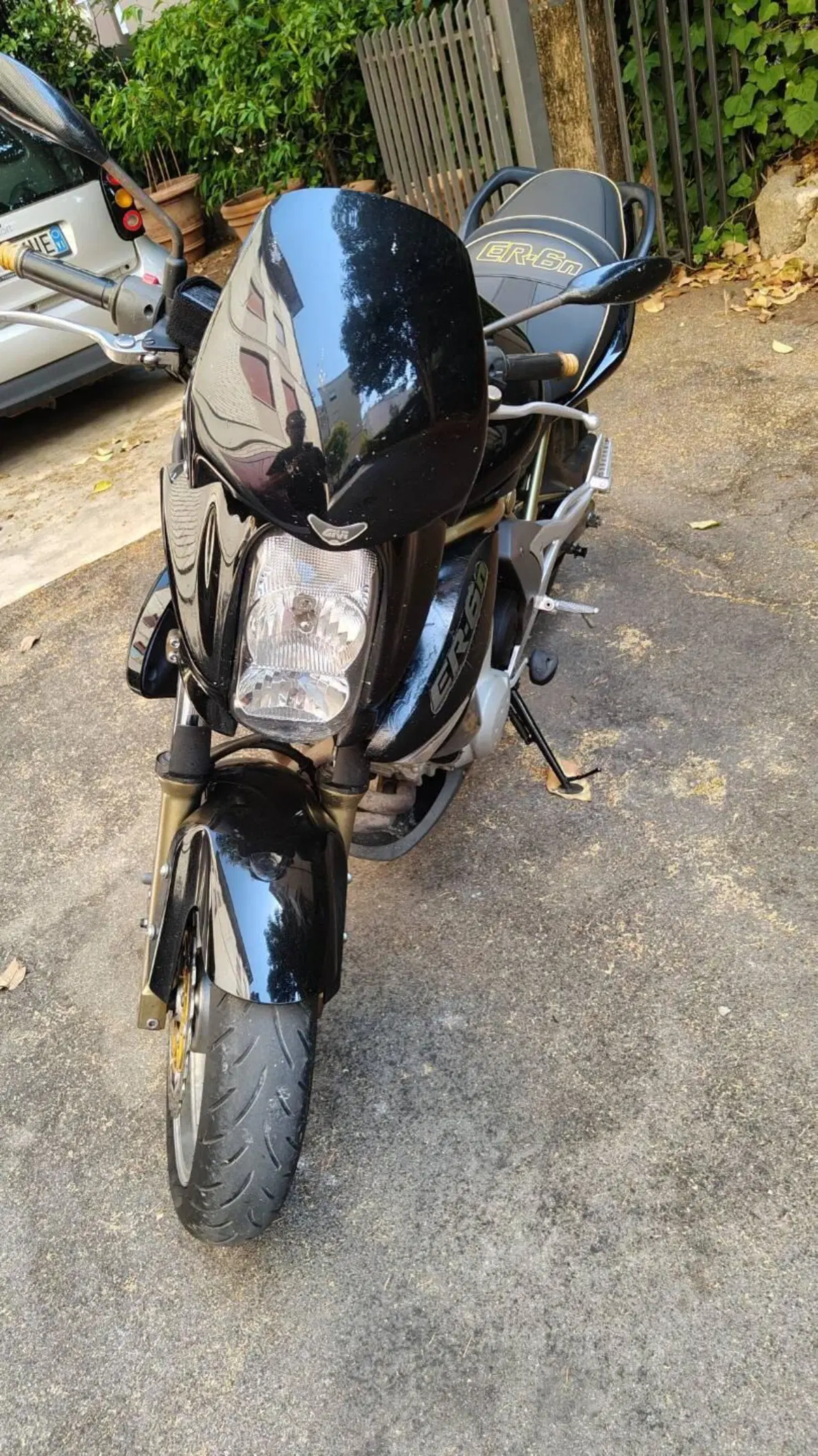 Kawasaki ER-6N (2005 - 08) (5)