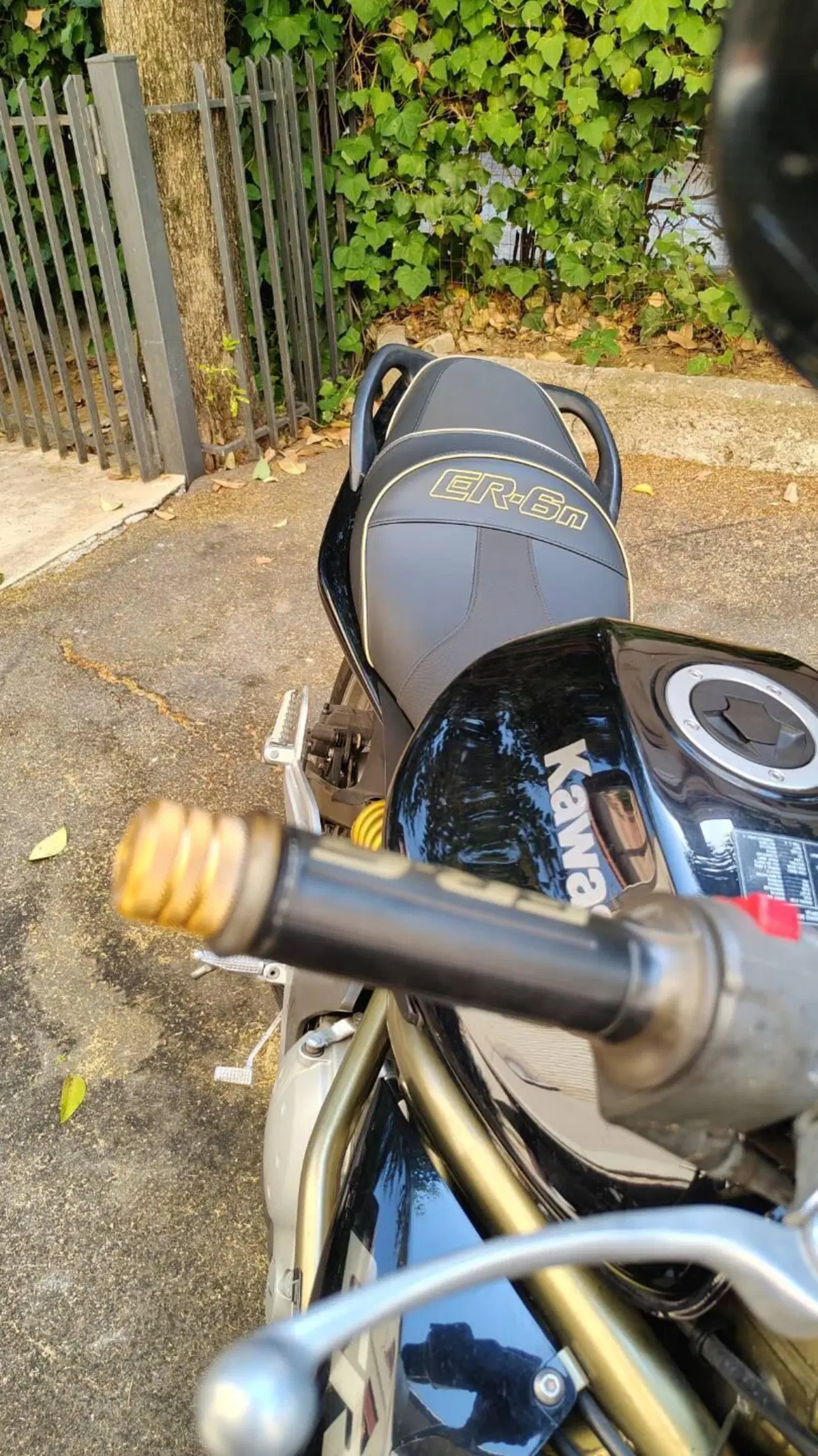 Kawasaki ER-6N (2005 - 08) (6)