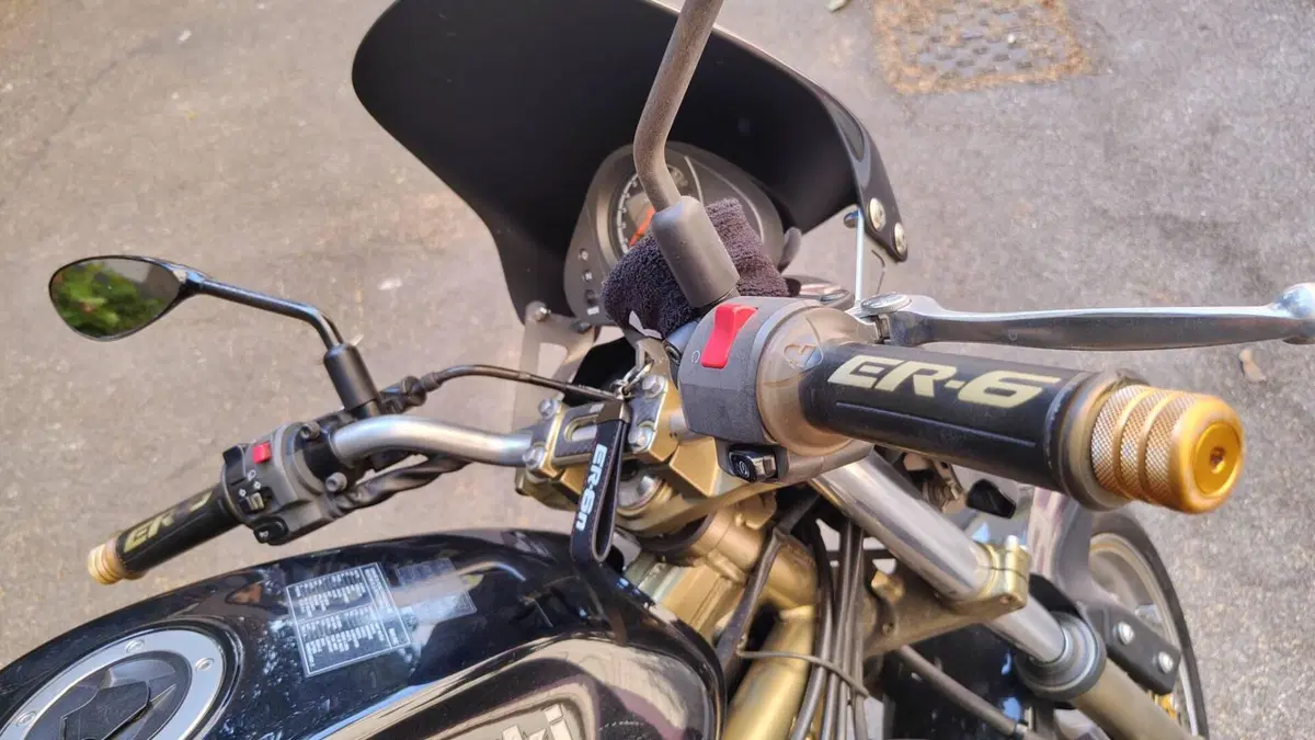 Kawasaki ER-6N (2005 - 08) (7)
