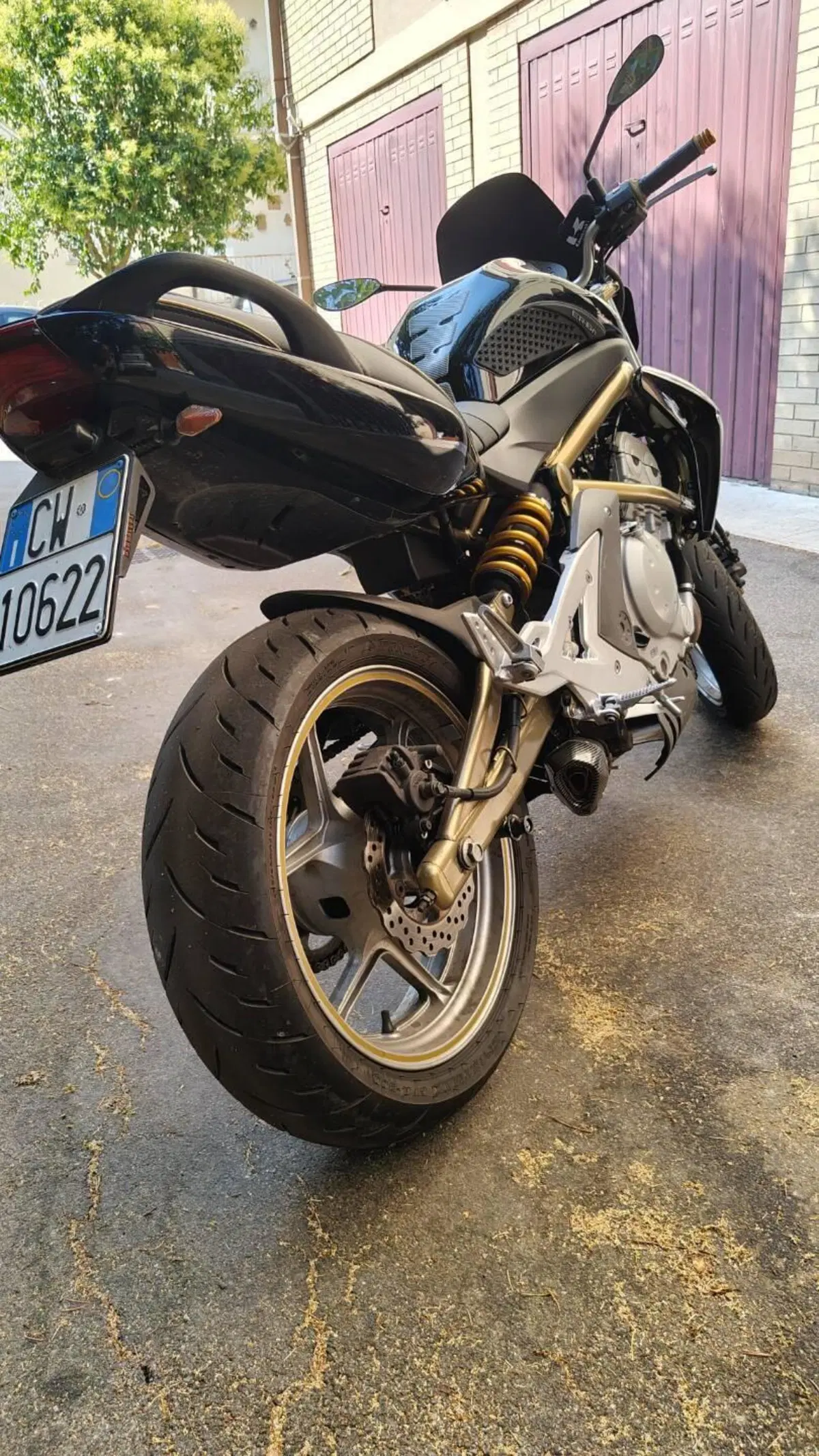 Kawasaki ER-6N (2005 - 08) (8)