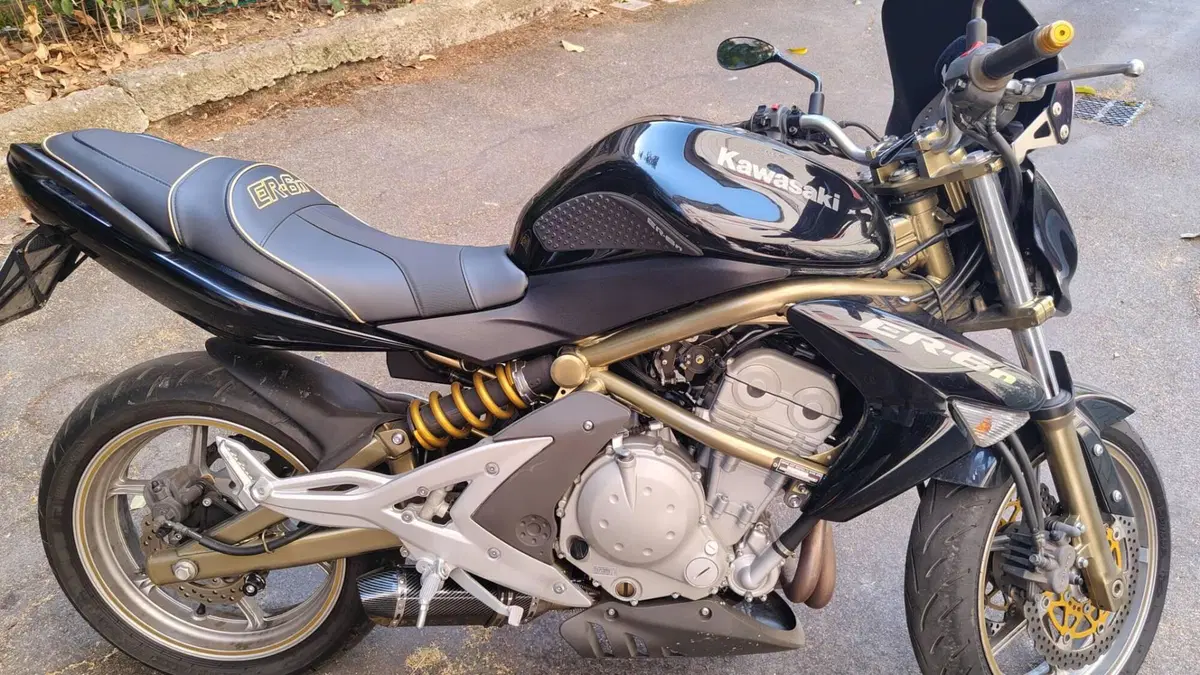 Kawasaki ER-6N (2005 - 08) (9)