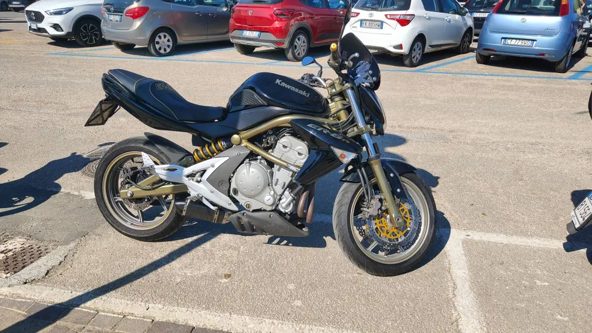 Kawasaki ER-6N (2005 - 08) (11)