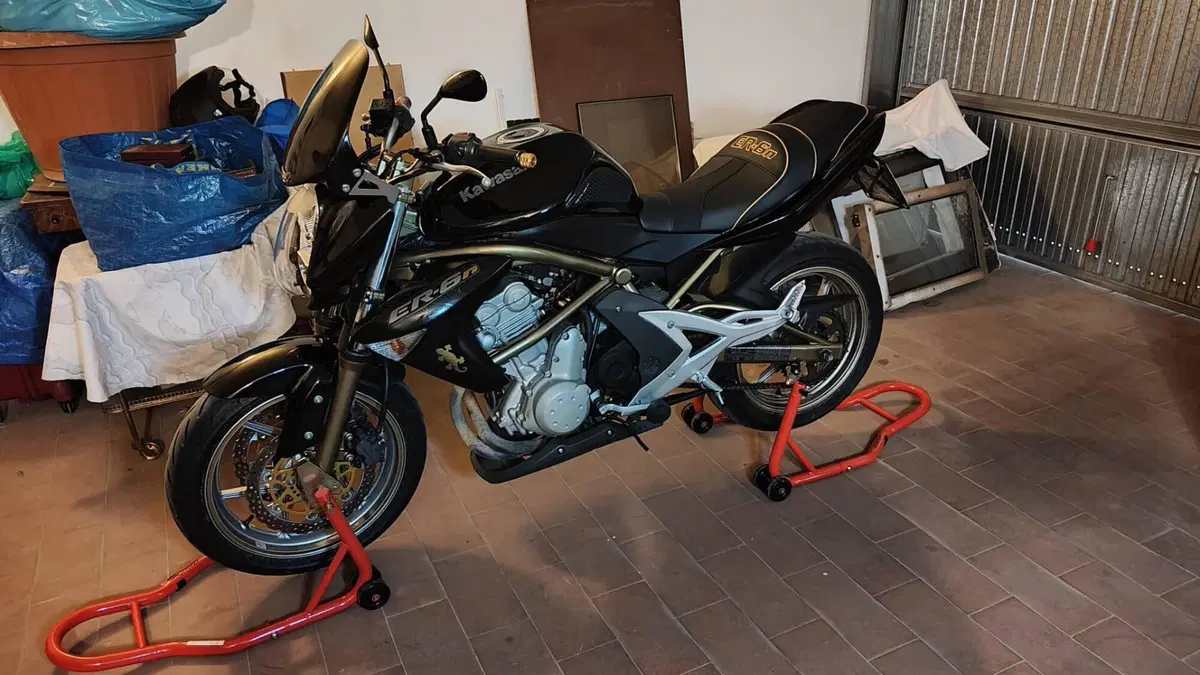 Kawasaki ER-6N (2005 - 08)