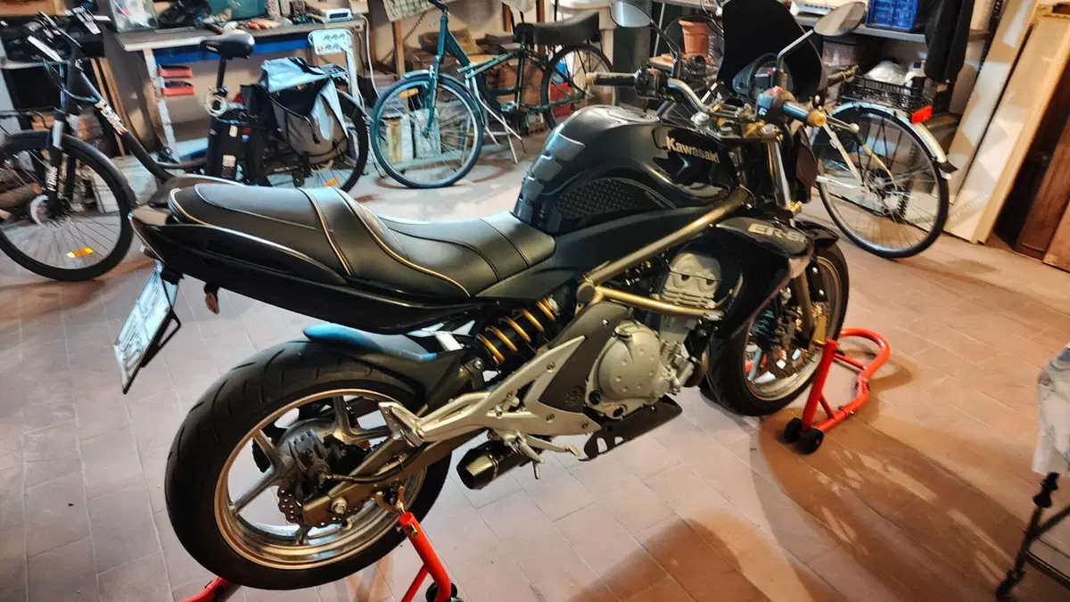 Kawasaki ER-6N (2005 - 08) (13)