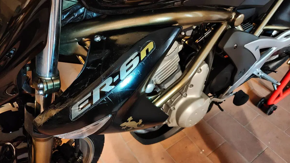 Kawasaki ER-6N (2005 - 08) (14)