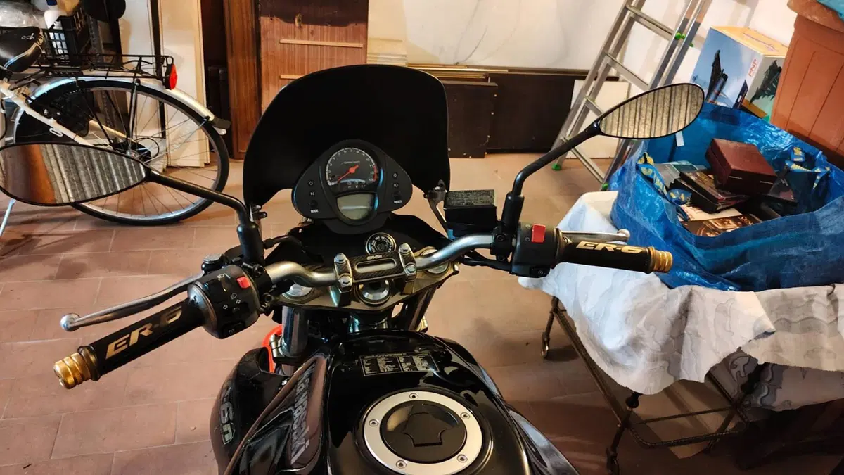 Kawasaki ER-6N (2005 - 08) (15)