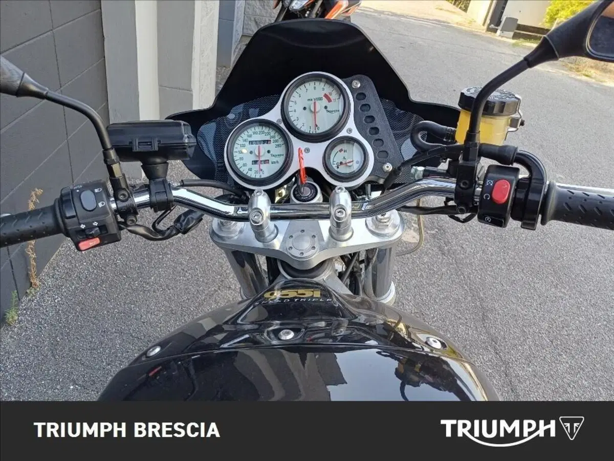 Triumph Speed Triple 1000 (1999 - 02) (7)